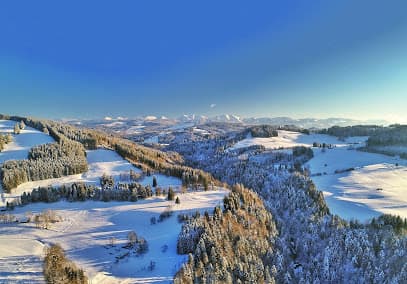 Igel & Kaufmann Immobilien - Immobilienmakler und Hausverwaltung