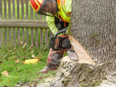 W.a.l.d. Group Schneider Gmbh